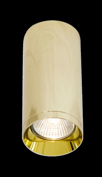 Потолочный светильник Maytoni Technical Focus C010CL-01G