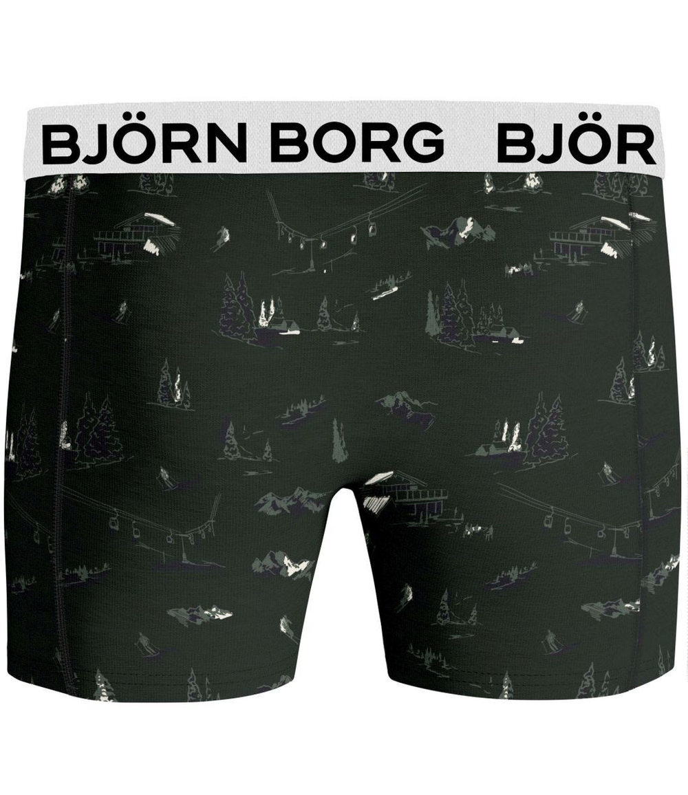 Bokserki спортивные Björn Borg Core Boxer B 2P - зеленый