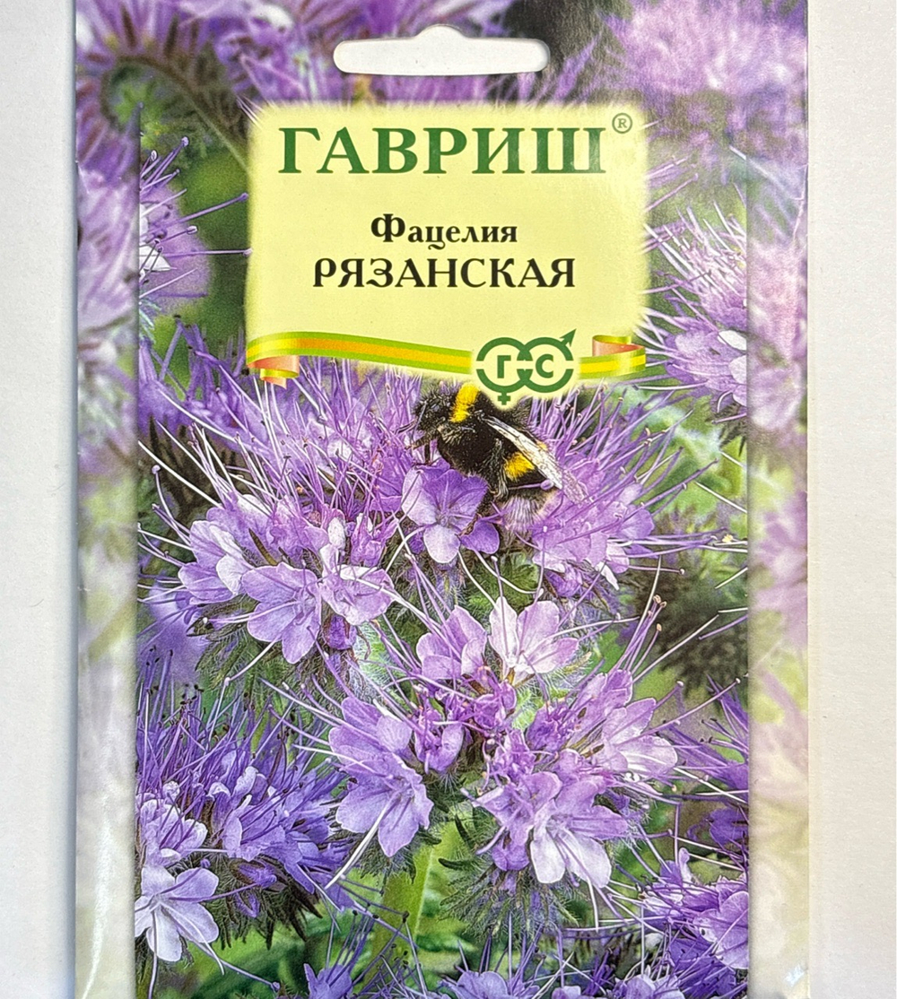 Фацелия Рязанская (сидерат), больш. пак. 20 г СМЦ-539