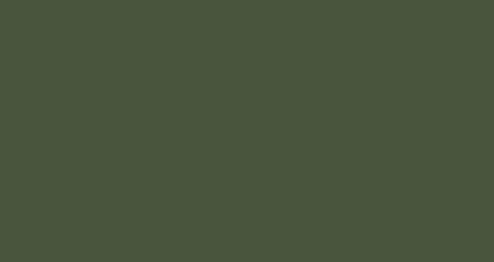 Нитки мулине ПНК им. Кирова, цвет 4306 (темно-зеленый)