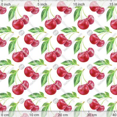 Вишня by evgenia_art_art 455 DPI