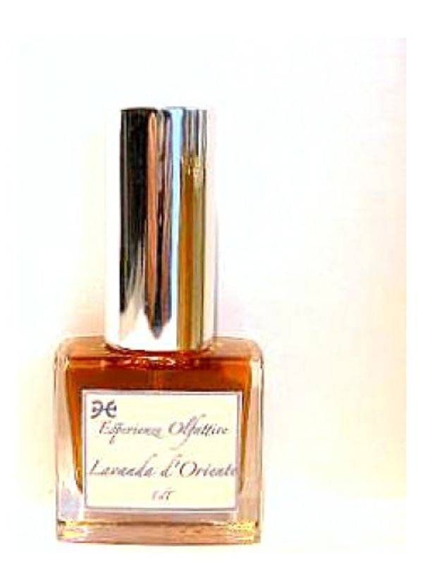 Esperienze Olfattive Lavanda d'Oriente