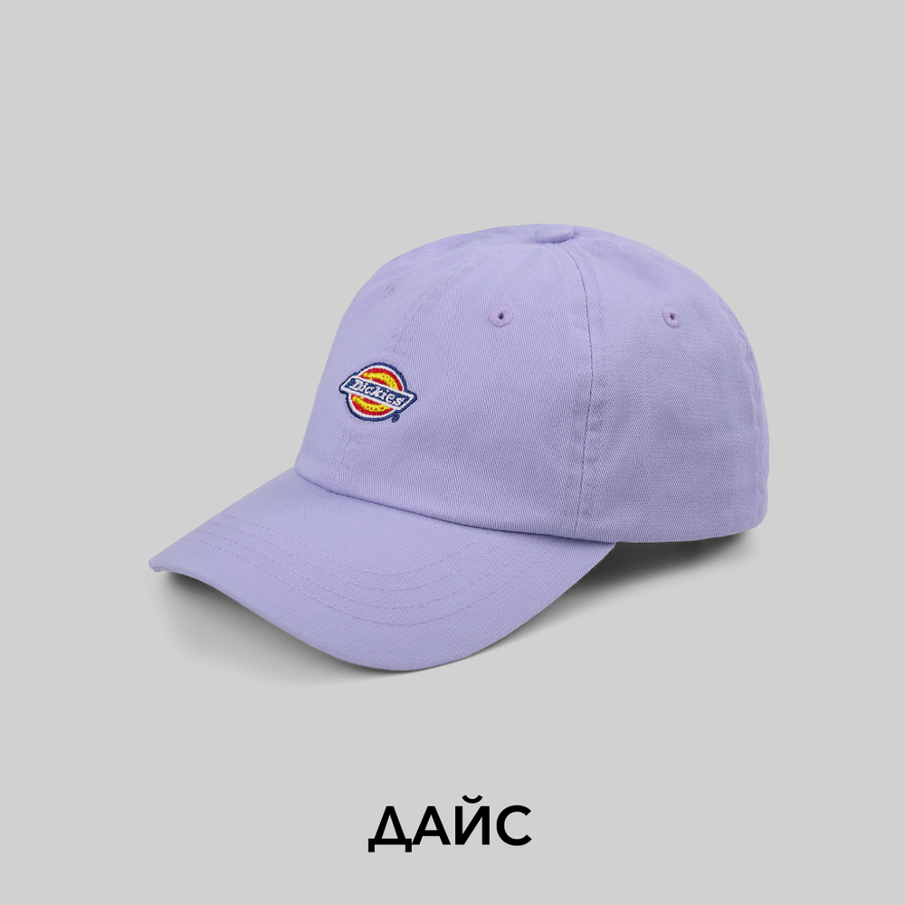 Кепка Dickies Hardwick 6 Panel Logo - купить в магазине Dice с бесплатной доставкой по России