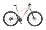 Горный велосипед KTM Ultra Fun 29.27 (2020)