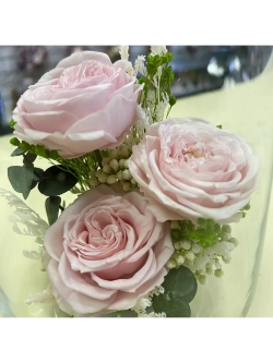 натуральные кустовые розы в стекле, вакуум*