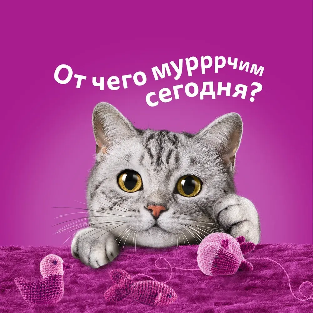 Влажный корм для взрослых кошек Форель паштет, 75г Whiskas