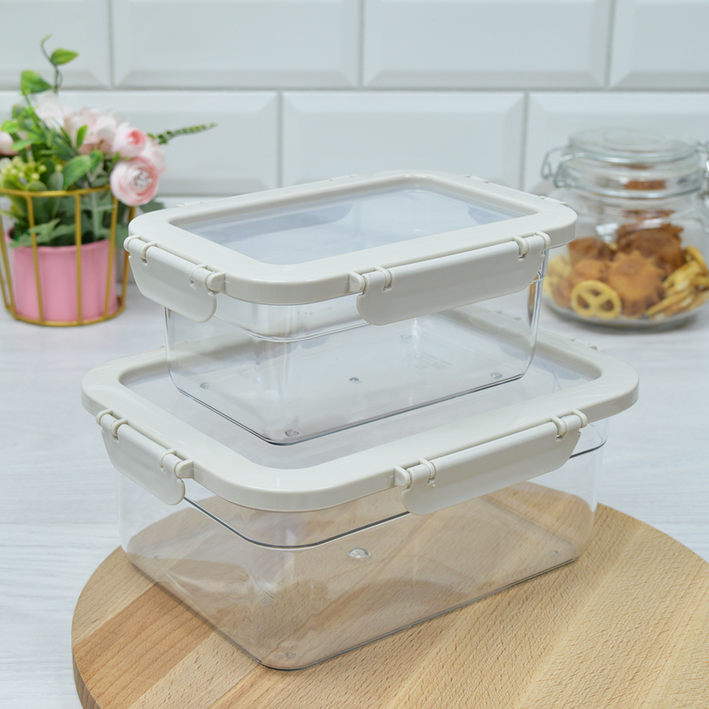 Набор контейнеров 2шт (1л, 2,2л) "Космо"