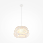 Подвесной светильник Maytoni MOD409PL-01W