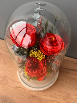 натуральные пионы в колбе