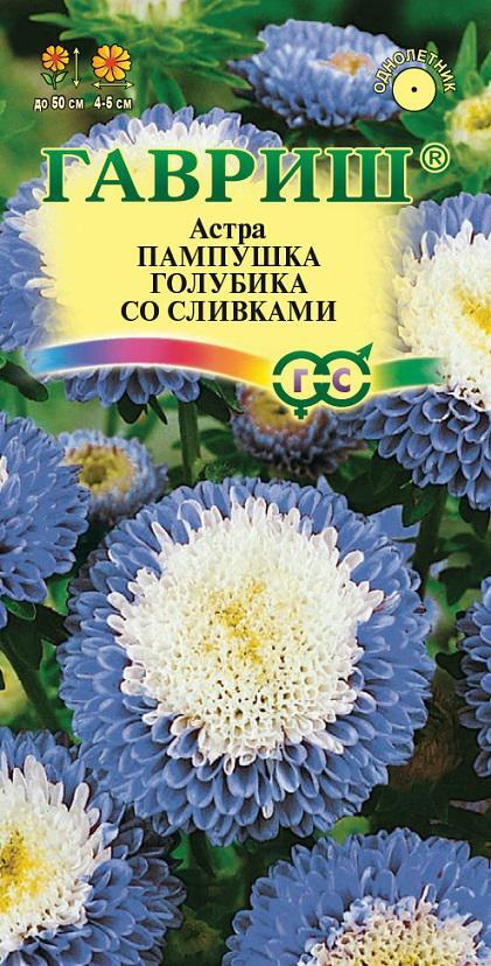 Астра Пампушка голубика со сливками помпонная 0,3 гр Гавриш
