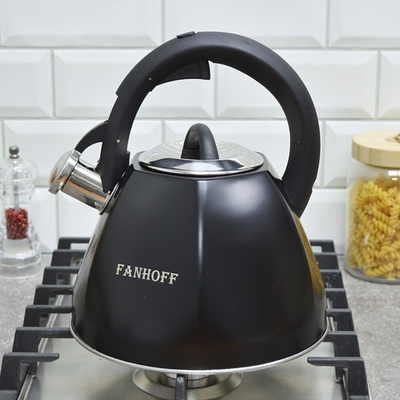 Чайник 3л нерж "Fanhoff" (88689)