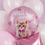 Фольгированный шар «Ты всех милее», 46 см
