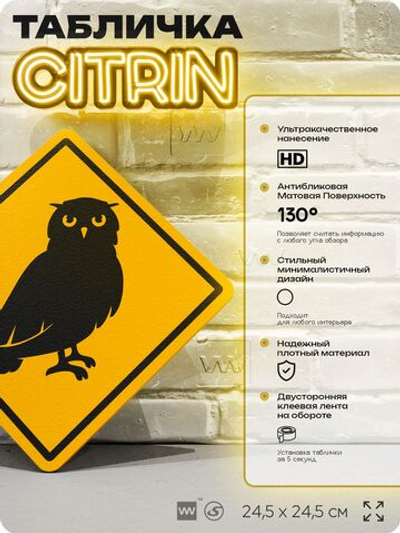 Табличка прикольная "Осторожно, сова" на дверь и стену, информационная и предупреждающая, декоративный знак, 24,5х24,5 см, пластиковая, Айдентика Технолоджи