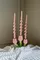 Подсвечник floret для трех свечей из коллекции blossom, 20 см