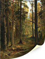 Красная шапочка в лесу, Клевер Ю. Ю., картина для интерьера (репродукция) Настене.рф