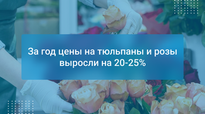 За год цены на тюльпаны и розы выросли на 20-25%