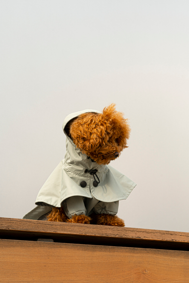 Дождевик "Пони-парасоли"