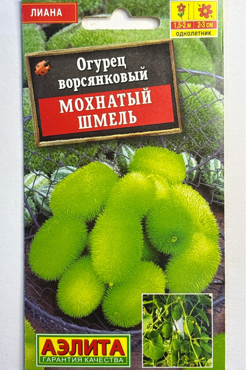 Огурец Мохнатый шмель СМЦ-786