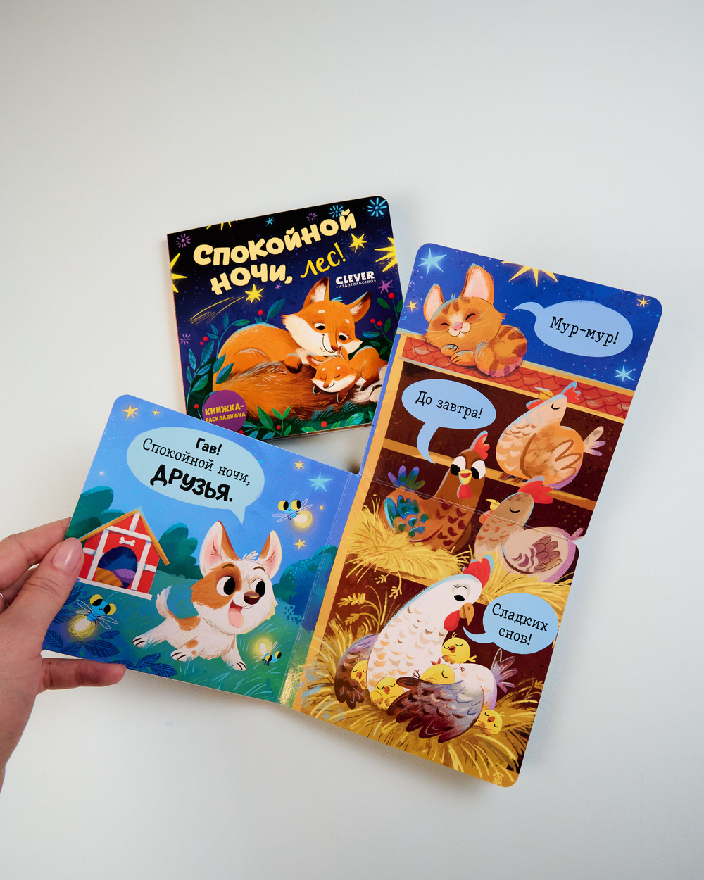 Комплект книжек-раскладушек, 2 книги