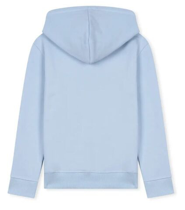 Кофта для мальчика теннисная Roland Garros Kids Sporty Chic Tim Hoodie - синяя