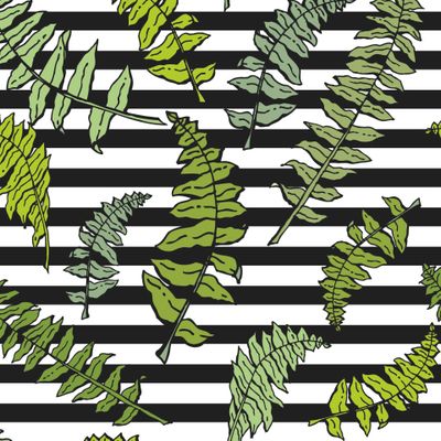 Листья папоротника