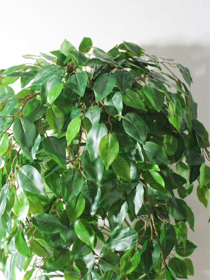 Искусственное дерево Фикус зеленый 150см в высоком коричневом кашпо ротанг