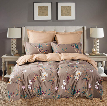 Постельное белье СайлиД B-200 сатин