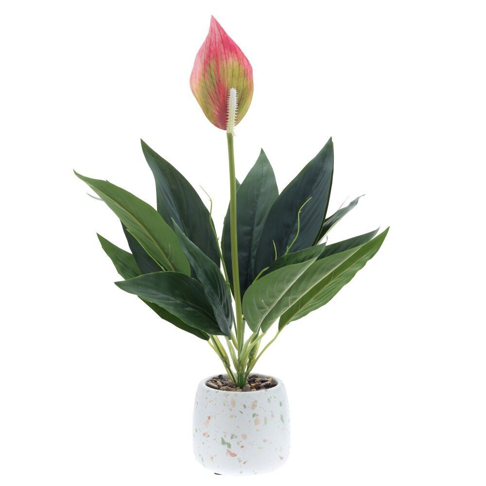 GAEM Цветочная композиция "Спатифиллум", L17 W12 H40 см