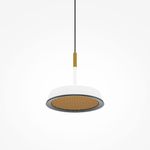 Подвесной светильник Maytoni MOD041PL-L15WG3K