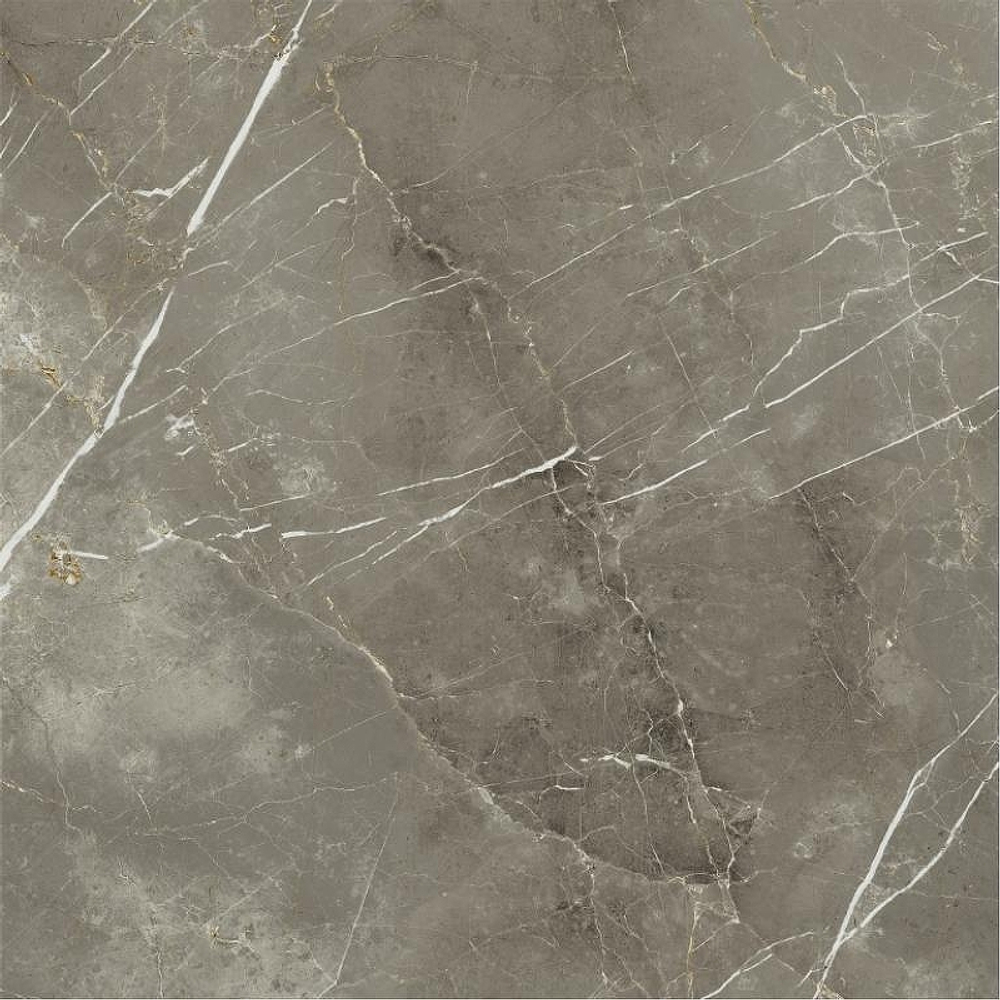 Керамогранит Italon Stellaris 600010002388 120x120 см