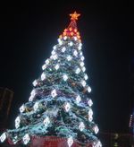 Светодинамическая елка ствольная - встроенная гирлянда: Холодный свет - "Таежная" от 11 до 21 м