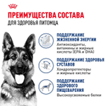 Royal Canin Maxi Ageing 8+ Корм сухой для стареющих собак крупных размеров от 8 лет и старше 15 кг