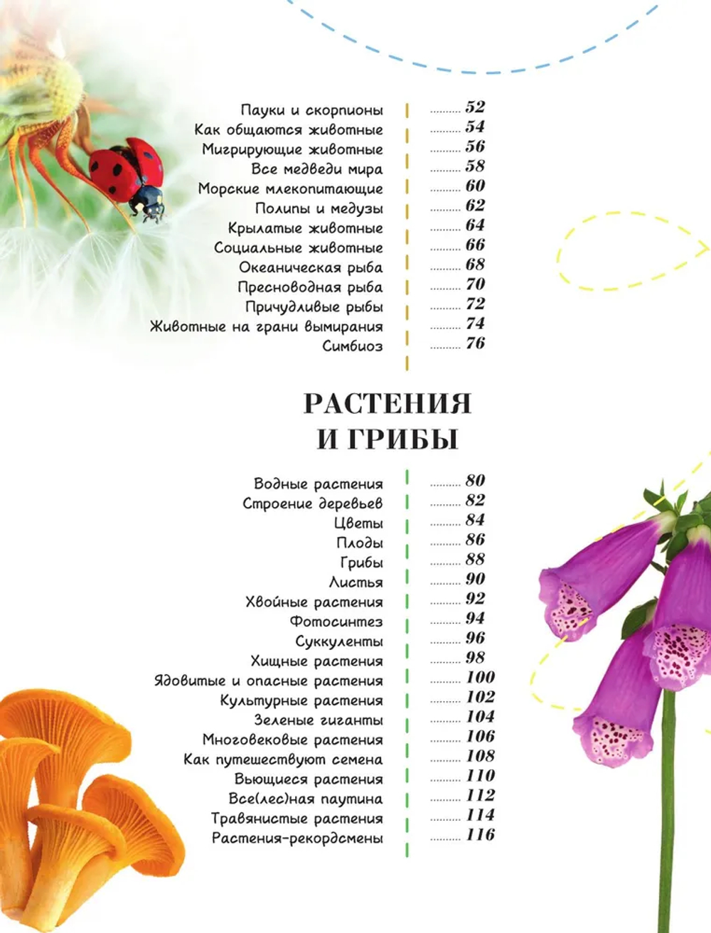 100 тысяч почему на каждый день. Природа