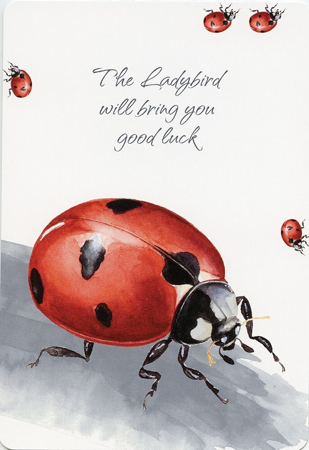 Power Animals. Spirit Guides for Your Spiritual Life / Оракул Сила Животных. Тотемы для вашей духовной жизни