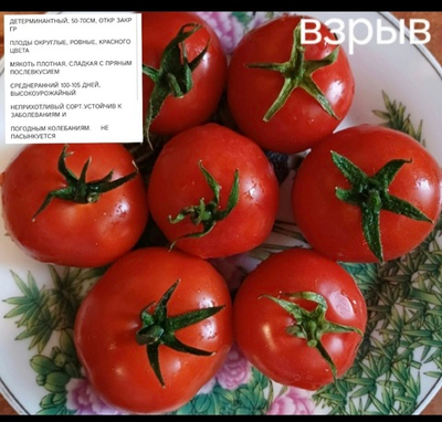 РАССАДА НЕПАС ТОМАТОВ ВЗРЫВ