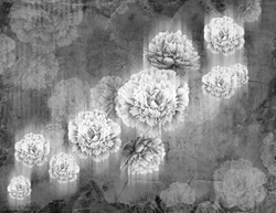 Коллекция LA FIORITURA