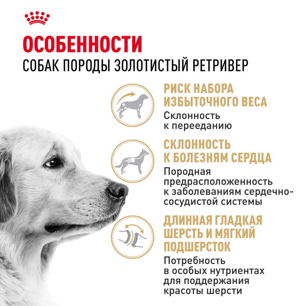 Сухой корм Royal Canin Golden Retriever Adult для взрослых собак породы Голден Ретривер от 15 месяцев 12кг
