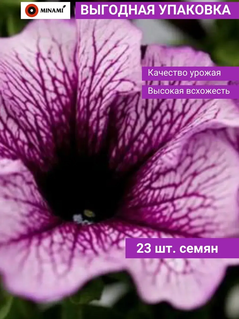Петуния грандифлора Дэдди F1 Шугар