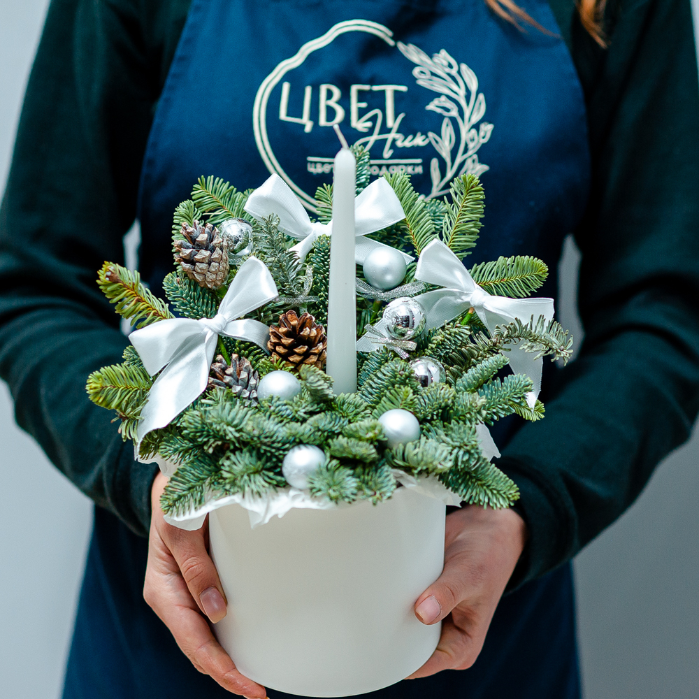 Новогодняя композиция из нобилиса 14