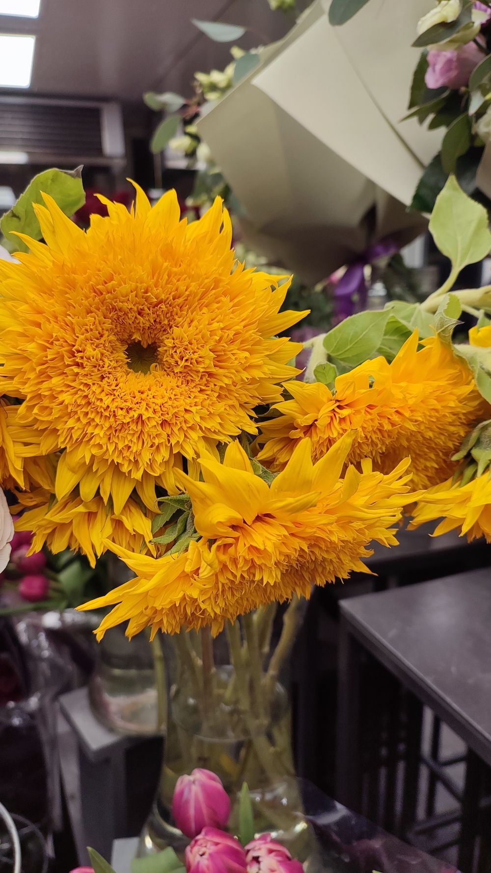 Подсолнухи