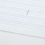 Тетрадь 12 л. BRAUBERG ЭКО "5-КА", косая линия, обложка плотная мелованная бумага, ЗЕЛЕНАЯ, 104762