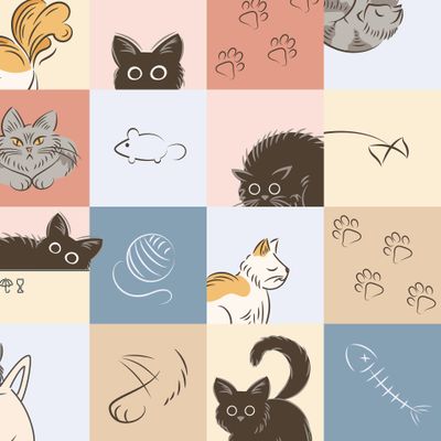 кошки. Толстый милый  Домашние питомцы. Кот спит, в коробке