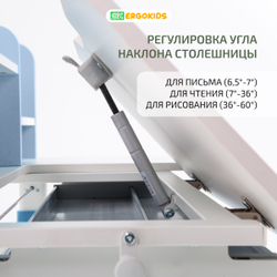 Растущая парта Ergokids Argo-2