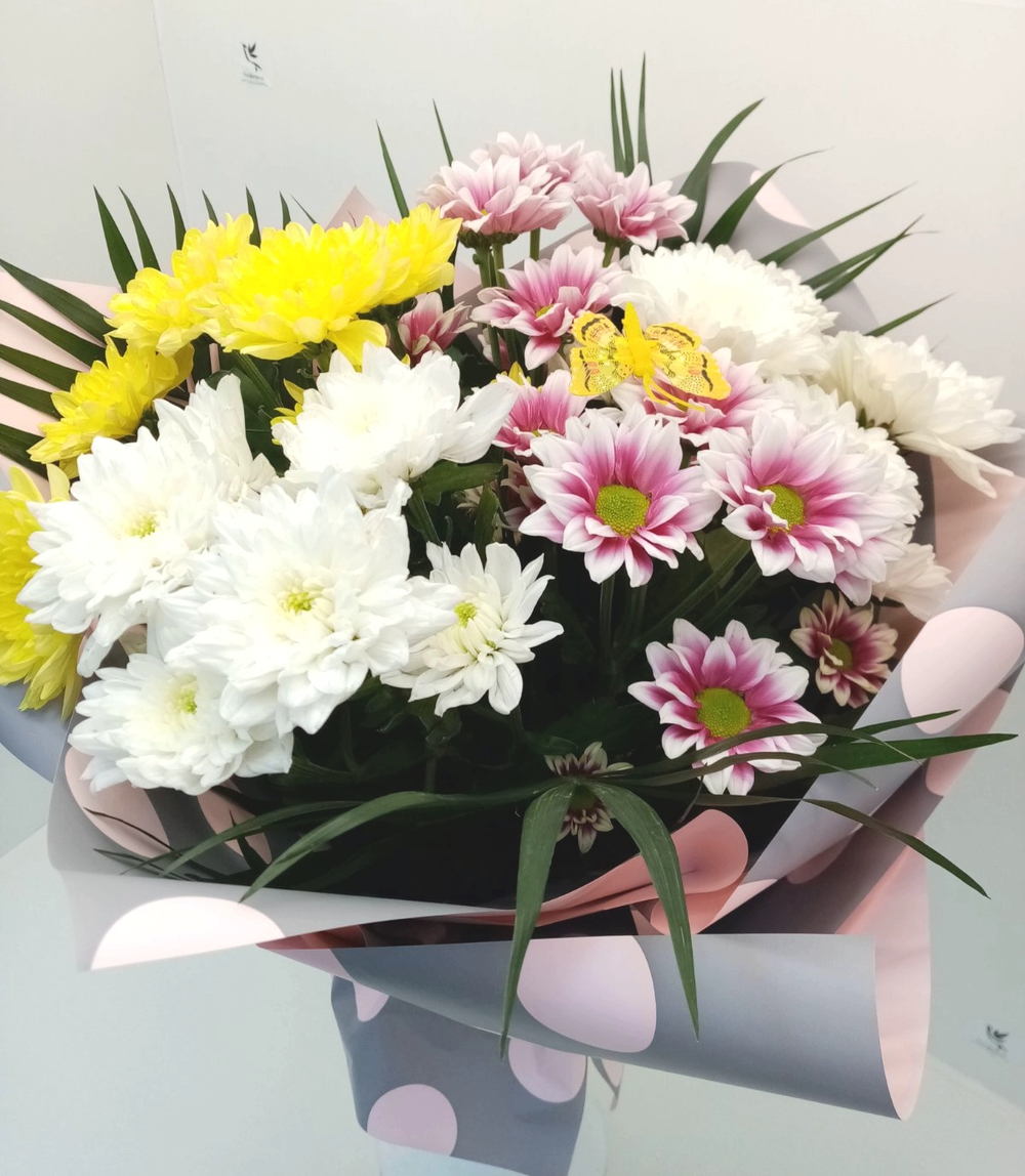 Хризантемы Микс Степная