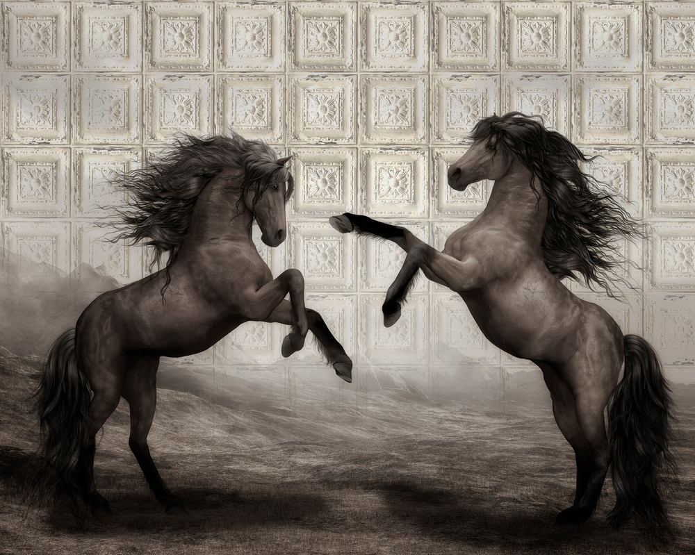 Коллекция ALLUSION