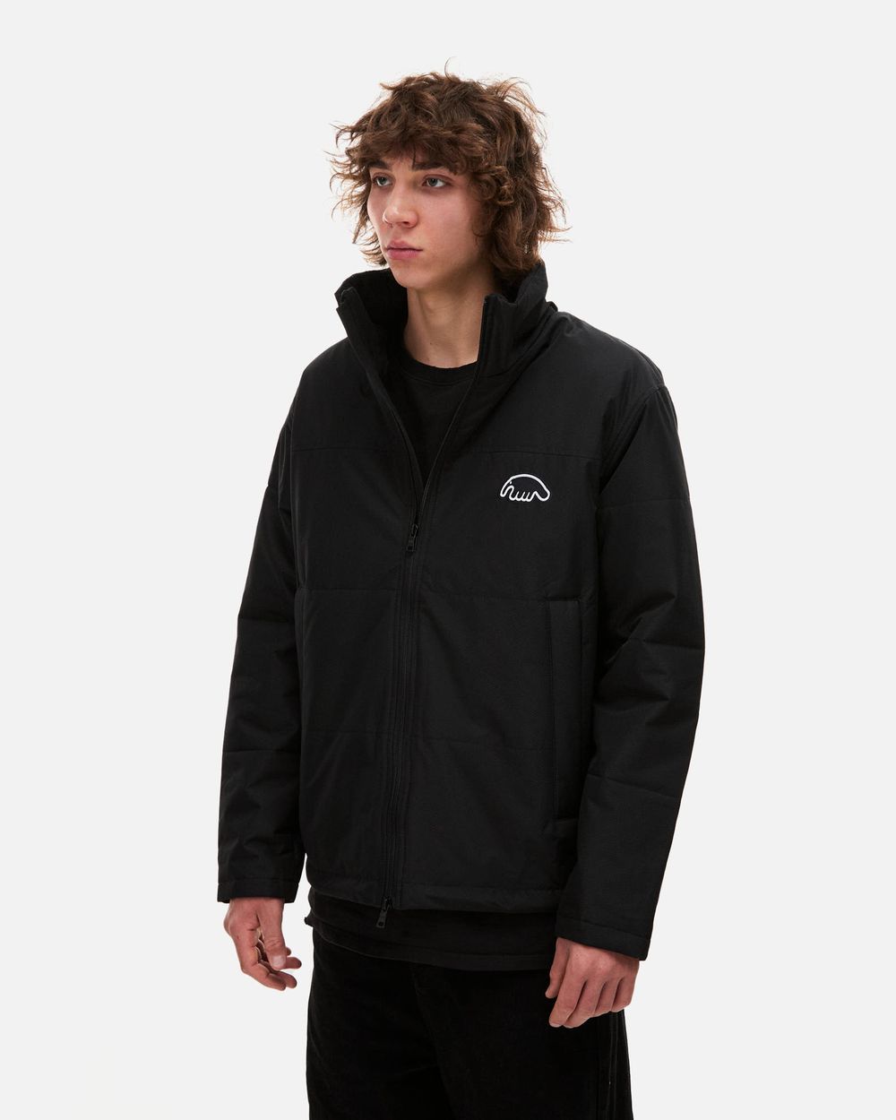 Пуховик Anteater Downlight черный