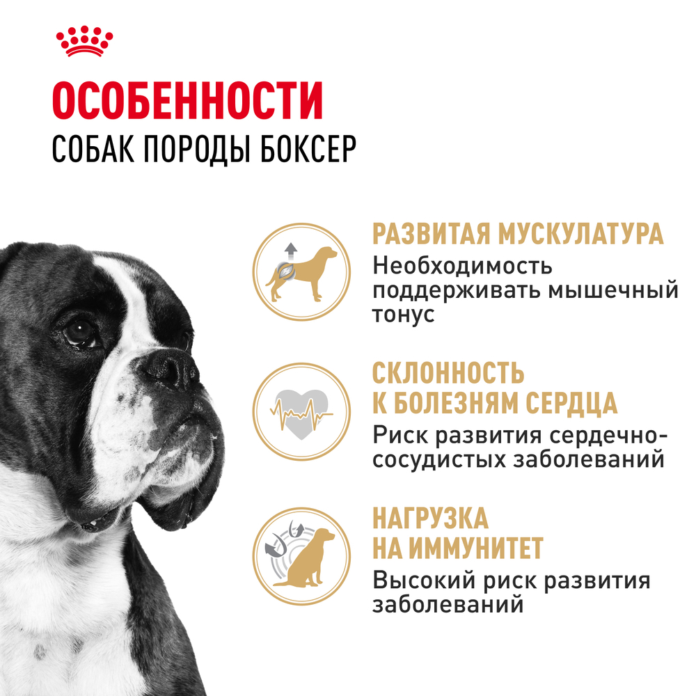 Сухой корм Royal Canin Boxer Adult для взрослых и стареющих собак породы боксер от 15 месяцев, 12 кг