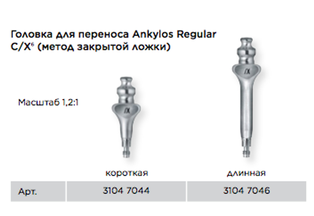 Трансферы закрытой ложки Ankylos C/X