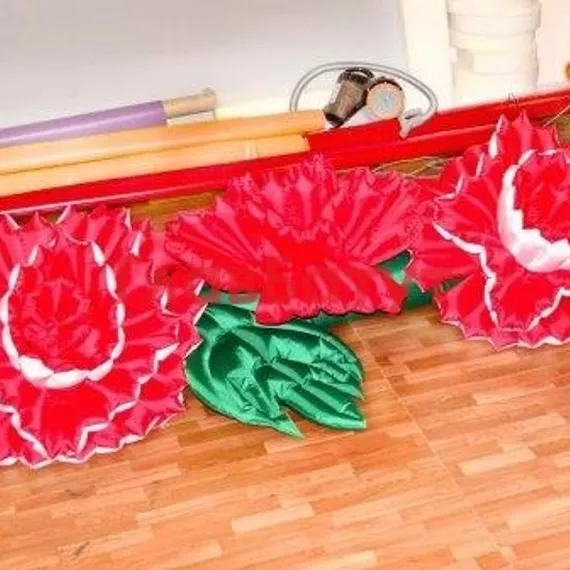 Надувные гвоздики (букет)