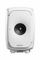 Genelec 8341AW
